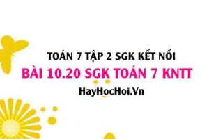 Bài 10.20 SGK Toán 7 Tập 2 Kết nối tri thức: Tính thể tích và diện tích bìa làm hộp